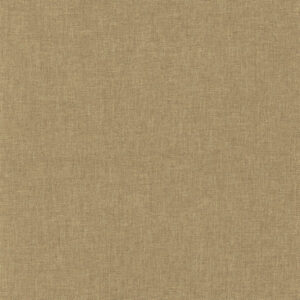 Blackout Hide and Seek 4829010033