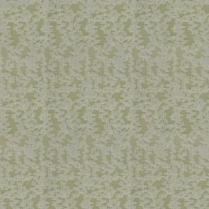 ( Folio Cayden Green ) i8