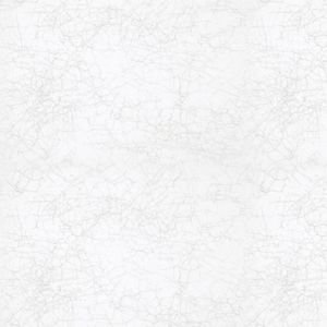 ( Folio Glaze Blanc ) i8