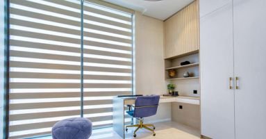 Office duplex blinds