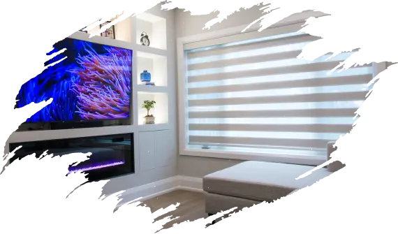 Blackout zebra blinds