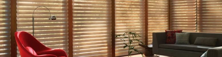 Livingroom Venetian blinds