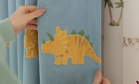 Stylish Kids Curtains